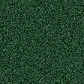 Textures   -   NATURE ELEMENTS   -   VEGETATION   -   Green grass  - Green grass texture seamless 13028 (seamless)