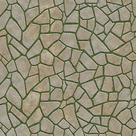 Textures   -   ARCHITECTURE   -   PAVING OUTDOOR   -  Flagstone - Paving flagstone texture seamless 05927