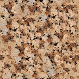 Textures   -   ARCHITECTURE   -   MARBLE SLABS   -  Granite - Slab granite marble texture seamless 02180