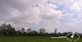 Textures   -   BACKGROUNDS &amp; LANDSCAPES   -  SKY &amp; CLOUDS - Cloudy sky whit rural background 18381