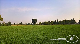 Textures   -   BACKGROUNDS &amp; LANDSCAPES   -   NATURE   -   Countrysides &amp; Hills  - Countrysides landscape texture 17985