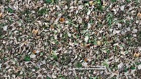 Textures   -   NATURE ELEMENTS   -   VEGETATION   -   Leaves dead  - Dead oak leaves texture seamless 18649 (seamless)