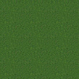Textures   -   NATURE ELEMENTS   -   VEGETATION   -  Green grass - Green grass texture seamless 13029