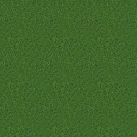 Textures   -   NATURE ELEMENTS   -   VEGETATION   -   Green grass  - Green grass texture seamless 13029 (seamless)