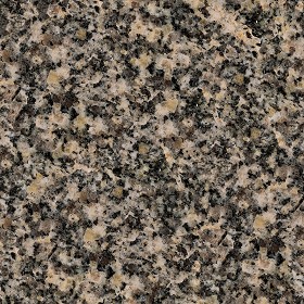 Textures   -   ARCHITECTURE   -   MARBLE SLABS   -  Granite - Slab granite marble texture seamless 02181