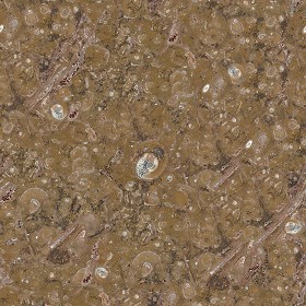 Textures   -   ARCHITECTURE   -   MARBLE SLABS   -  Brown - Slab marble fossil brown texture seamless 02031