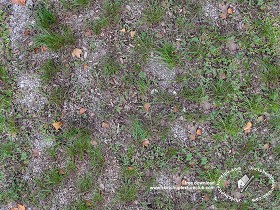 Textures   -   NATURE ELEMENTS   -   VEGETATION   -   Leaves dead  - Grass with dead leaves texture seamless 18650 (seamless)