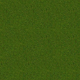 Textures   -   NATURE ELEMENTS   -   VEGETATION   -  Green grass - Green grass texture seamless 13030