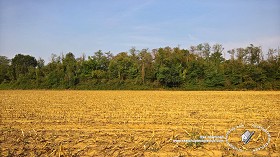 Textures   -   BACKGROUNDS &amp; LANDSCAPES   -   NATURE   -   Countrysides &amp; Hills  - Plowed land countrysides landscape texture 17986