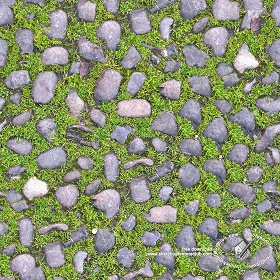Textures   -   ARCHITECTURE   -   ROADS   -   Paving streets   -  Rounded cobble - Road rounded cobblestone with green grass texture seamless 20194