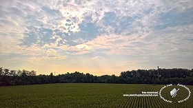 Textures   -   BACKGROUNDS &amp; LANDSCAPES   -  SUNRISES &amp; SUNSETS - Summer sunrise with rural background 20812