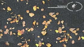 Textures   -   NATURE ELEMENTS   -   VEGETATION   -  Leaves dead - Asphalt with dead leaves texture seamless 18652