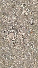 Textures   -   ARCHITECTURE   -   ROADS   -   Stone roads  - Dirt road with stones texture seamless 17325 (seamless)