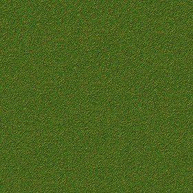 Textures   -   NATURE ELEMENTS   -   VEGETATION   -   Green grass  - Green grass texture seamless 13033 (seamless)