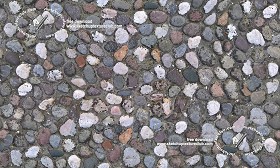 Textures   -   ARCHITECTURE   -   ROADS   -   Paving streets   -   Rounded cobble  - Rounded cobblestone texture seamless 20492 (seamless)