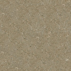 Textures   -   ARCHITECTURE   -   MARBLE SLABS   -  Brown - Slab marble fossil seamless 02036