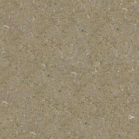 Textures   -   ARCHITECTURE   -   MARBLE SLABS   -   Brown  - Slab marble fossil seamless 02036 (seamless)