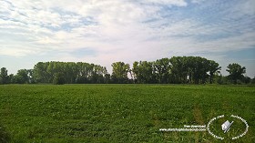 Textures   -   BACKGROUNDS &amp; LANDSCAPES   -   NATURE   -  Countrysides &amp; Hills - Countrysides green landscape texture 17991