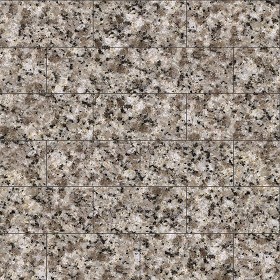 Textures   -   ARCHITECTURE   -   TILES INTERIOR   -   Marble tiles   -  Granite - Granite marble floor texture seamless 14402
