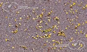 Textures   -   NATURE ELEMENTS   -   VEGETATION   -   Leaves dead  - Asphalt with dead leaves texture seamless 19237 (seamless)