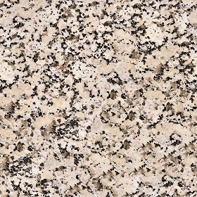 Textures   -   ARCHITECTURE   -   MARBLE SLABS   -  Granite - Slab granite marble texture seamless 02188