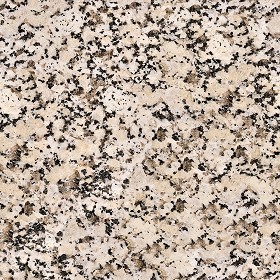 Textures   -   ARCHITECTURE   -   MARBLE SLABS   -   Granite  - Slab granite marble texture seamless 02188 (seamless)