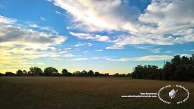 Textures   -   BACKGROUNDS &amp; LANDSCAPES   -  SUNRISES &amp; SUNSETS - Summer sunset with rural background 20962