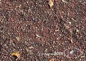 Textures   -   NATURE ELEMENTS   -   SOIL   -  Ground - Topsoil with leaves texture seamless 18182