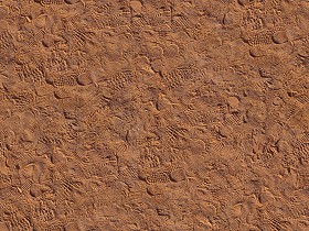 Textures   -   NATURE ELEMENTS   -  SAND - Red sand with footprints texture seamless 17522