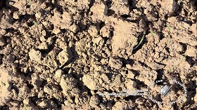 Textures   -   NATURE ELEMENTS   -   SOIL   -  Ground - Soil clods texture seamless 18183
