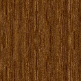 Textures   -   ARCHITECTURE   -   WOOD   -   Fine wood   -  Medium wood - Wood fine medium color texture seamless 04469
