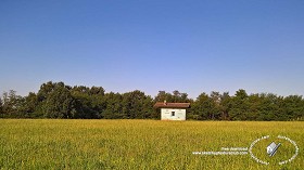 Textures   -   BACKGROUNDS &amp; LANDSCAPES   -   NATURE   -  Countrysides &amp; Hills - Countrysides landscape texture 17994