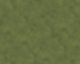 Textures   -   NATURE ELEMENTS   -   VEGETATION   -   Green grass  - Green grass texture seamless 13038 (seamless)