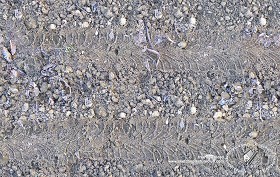 Textures   -   NATURE ELEMENTS   -   SOIL   -  Ground - Frost ground with tire marks texture seamless 20187