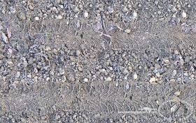 Textures   -   NATURE ELEMENTS   -   SOIL   -   Ground  - Frost ground with tire marks texture seamless 20187 (seamless)