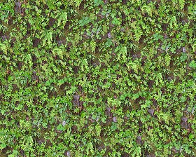 Textures   -   NATURE ELEMENTS   -   VEGETATION   -  Green grass - Green grass texture seamless 13040