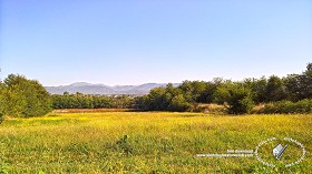 Textures   -   BACKGROUNDS &amp; LANDSCAPES   -   NATURE   -  Countrysides &amp; Hills - Yellow countrysides landscape texture 17996