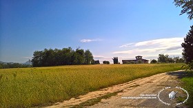 Textures   -   BACKGROUNDS &amp; LANDSCAPES   -   NATURE   -  Countrysides &amp; Hills - Countrysides landscape texture 17997