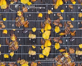 Textures   -   NATURE ELEMENTS   -   VEGETATION   -  Leaves dead - Dead leaves on the sidewalk with metal grid texture seamless 19242