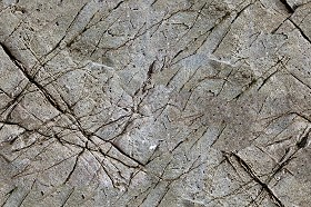 Textures   -   NATURE ELEMENTS   -   ROCKS  - Rock stone texture seamless 12695 (seamless)