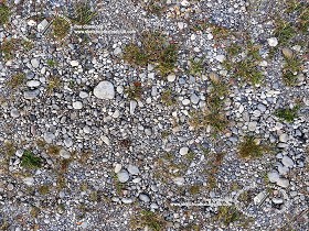 Textures   -   NATURE ELEMENTS   -   SOIL   -  Ground - Ground with mixed pebbles texture seamless 20307