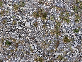 Textures   -   NATURE ELEMENTS   -   SOIL   -   Ground  - Ground with mixed pebbles texture seamless 20307 (seamless)