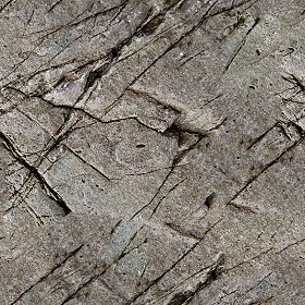 Textures   -   NATURE ELEMENTS   -   ROCKS  - Rock stone texture seamless 12696 (seamless)