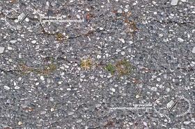Textures   -   ARCHITECTURE   -   ROADS   -  Stone roads - Damaged stone roads texture seamless 19664