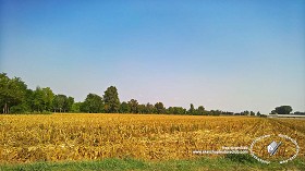 Textures   -   BACKGROUNDS &amp; LANDSCAPES   -   NATURE   -   Countrysides &amp; Hills  - Plowed land countrysides landscape 18000