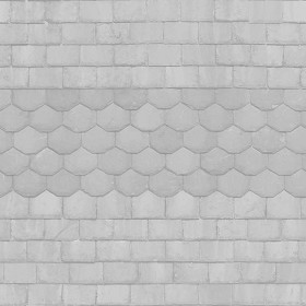 Textures   -   ARCHITECTURE   -   ROOFINGS   -   Slate roofs  - Slate roofing texture seamless 03973 - Bump