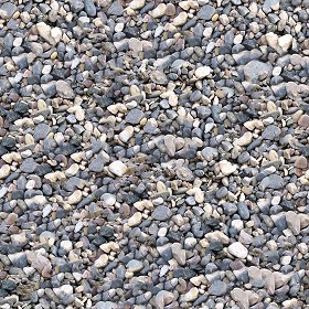 Textures   -   NATURE ELEMENTS   -  GRAVEL &amp; PEBBLES - Pebbles stone texture seamless 12447