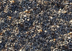 Textures   -   NATURE ELEMENTS   -  GRAVEL &amp; PEBBLES - Beach pebbles stone texture seamless 12448