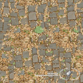 Textures   -   ARCHITECTURE   -   PAVING OUTDOOR   -  Parks Paving - Damaged park cobblestone paving texture seamless 18834