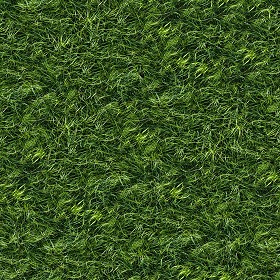 Textures   -   NATURE ELEMENTS   -   VEGETATION   -   Green grass  - Green grass texture seamless 13046 (seamless)